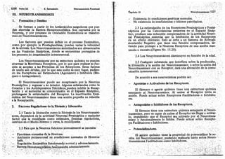 Tomo3tratadodeneuroanatomíafuncional.pdf