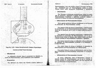 Tomo3tratadodeneuroanatomíafuncional.pdf