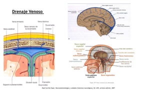 Drenaje Venoso
.Raúl Carrillo Esper, Neuroanestesiología y cuidados intensivos neurológicos, Ed. Alfil, primera edición, 2007
 