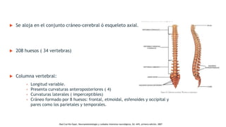  Se aloja en el conjunto cráneo-cerebral ó esqueleto axial.
 208 huesos ( 34 vertebras)
 Columna vertebral:
• Longitud variable.
• Presenta curvaturas anteroposteriores ( 4)
• Curvaturas laterales ( imperceptibles)
• Cráneo formado por 8 huesos: frontal, etmoidal, esfenoides y occipital y
pares como los parietales y temporales.
.Raúl Carrillo Esper, Neuroanestesiología y cuidados intensivos neurológicos, Ed. Alfil, primera edición, 2007
 