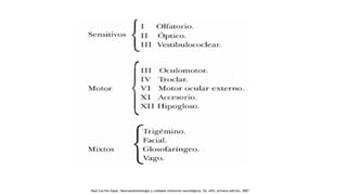 .Raúl Carrillo Esper, Neuroanestesiología y cuidados intensivos neurológicos, Ed. Alfil, primera edición, 2007
 