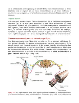 en las terminaciones anuloespirales y en ramillete de los husos neuromusculares, b) fibras
mielínicas que se originan en los husos neurotendinosos y c) fibras mielínicas y
amielínicas que se originan de di versas terminaciones sensitivas en el tejido conectivo del
músculo.
Unidad motora
Puede definirse la unidad motora como la motoneurona α y las fibras musculares por ella
inervadas (fig. 3-32). Las fibras musculares de una única motoneurona se hallan
ampliamente dispersas por todo el músculo. Allí donde se requiere un control muscular
fino y preciso, como en los músculos extraoculares o en los pequeños músculos de la
mano, las unidades motoras poseen sólo unas pocas fibras musculares. Sin embargo,
donde no se requiere un control preciso, como en un gran músculo de una extremidad,
como el glúteo mayor, un único nervio motor puede inervar cientos de fibras musculares.
Uniones neuromusculares en el músculo esquelético
Las fibras musculares esqueléticas están inervadas por fibras nerviosas mielínicas α de
gran tamaño, derivadas de grandes motoneuronas en las astas grises anteriores de la
médula espinal o de los núcleos motores de los nervios craneales. Cuando cada fibra
mielínica se introduce en un músculo esquelético se ramifica muchas veces. El número
de ramas depende del tamaño de la unidad motora. Una única rama termina entonces en
una fibra muscular en un sitio que recibe la denominación de unión neuromuscular o
placa terminal motora (figs. 3-33 y 3-34).
Figura 3-32 Arco reflejo simple que consta de una neurona aferente que se origina de los husos neuromusculares
y los husos neurotendinosos y de una motoneurona inferior eferente cuyo cuerpo celular es una célula α del asta
179
ERRNVPHGLFRVRUJ
ERRNVPHGLFRVRUJ
 