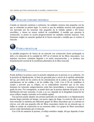 tono, mientras que el huso neuromuscular es excitador y aumenta el tono.
SUMA DE UNIDADES MOTORAS
Cuando un músculo comienza a contraerse, las unidades motoras más pequeñas son las
que se estimulan en primer lugar. La razón es que las unidades motoras más pequeñas
son inervadas por las neuronas más pequeñas de la médula espinal y del tronco
encefálico, y tienen un menor umbral de excitabilidad. A medida que aumenta la
contracción, se ponen en acción progresivamente las unidades motoras mayores. Este
fenómeno origina un aumento gradual de la fuerza muscular a medida que se contrae el
músculo.
FATIGA MUSCULAR
La pérdida progresiva de fuerza de un músculo con contracción fuerte prolongada se
debe a la reducción de la cantidad de ATP en el interior de las fibras musculares. Los
impulsos nerviosos continúan llegando a la unión neuromuscular, y se produce una
despolarización normal de la membrana plasmática de la fibra muscular.
POSTURA
Puede definirse la postura como la posición adoptada por la persona en su ambiente. En
la posición de bipedestación, la línea de gravedad pasa a través de la apófisis odontoides
del eje, por detrás de los centros de las articulaciones de la cadera y por delante de las
articulaciones de las rodillas y de los tobillos (fig. 3-44). Con el fin de estabilizar el
cuerpo y prevenir que se colapse, no es sorprendente encontrar que en los seres
humanos los músculos antigravitatorios están bien desarrollados y muestran el máximo
grado de tono. Por consiguiente, se puede decir que la postura depende del grado y de la
distribución del tono muscular, el cual, a su vez, depende de la integridad normal de los
arcos reflejos simples centrados en la médula espinal.
Una persona puede adoptar una postura particular (en sedestación o en bipedestación)
durante largos períodos de tiempo, con pocos signos de fatiga. La razón de ello es que el
tono muscular se mantiene por diferentes grupos de fibras musculares que se contraen en
relevos, con sólo una pequeña cifra de fibras musculares dentro de un músculo que se
hallan en estado de contracción en un momento dado. Los grupos de fibras musculares
activas están diseminados por el músculo.
Con el fin de mantener la postura, el reflejo miotático simple, del que depende el tono
193
ERRNVPHGLFRVRUJ
ERRNVPHGLFRVRUJ
 