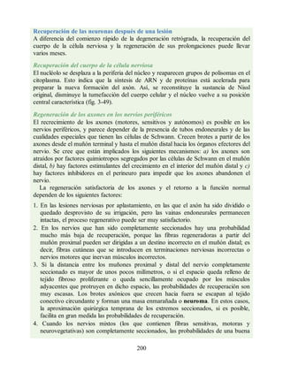 Recuperación de las neuronas después de una lesión
A diferencia del comienzo rápido de la degeneración retrógrada, la recuperación del
cuerpo de la célula nerviosa y la regeneración de sus prolongaciones puede llevar
varios meses.
Recuperación del cuerpo de la célula nerviosa
El nucléolo se desplaza a la periferia del núcleo y reaparecen grupos de polisomas en el
citoplasma. Esto indica que la síntesis de ARN y de proteínas está acelerada para
preparar la nueva formación del axón. Así, se reconstituye la sustancia de Nissl
original, disminuye la tumefacción del cuerpo celular y el núcleo vuelve a su posición
central característica (fig. 3-49).
Regeneración de los axones en los nervios periféricos
El recrecimiento de los axones (motores, sensitivos y autónomos) es posible en los
nervios periféricos, y parece depender de la presencia de tubos endoneurales y de las
cualidades especiales que tienen las células de Schwann. Crecen brotes a partir de los
axones desde el muñón terminal y hasta el muñón distal hacia los órganos efectores del
nervio. Se cree que están implicados los siguientes mecanismos: a) los axones son
atraídos por factores quimiotropos segregados por las células de Schwann en el muñón
distal, b) hay factores estimulantes del crecimiento en el interior del muñón distal y c)
hay factores inhibidores en el perineuro para impedir que los axones abandonen el
nervio.
La regeneración satisfactoria de los axones y el retorno a la función normal
dependen de los siguientes factores:
1. En las lesiones nerviosas por aplastamiento, en las que el axón ha sido dividido o
quedado desprovisto de su irrigación, pero las vainas endoneurales permanecen
intactas, el proceso regenerativo puede ser muy satisfactorio.
2. En los nervios que han sido completamente seccionados hay una probabilidad
mucho más baja de recuperación, porque las fibras regeneradoras a partir del
muñón proximal pueden ser dirigidas a un destino incorrecto en el muñón distal; es
decir, fibras cutáneas que se introducen en terminaciones nerviosas incorrectas o
nervios motores que inervan músculos incorrectos.
3. Si la distancia entre los muñones proximal y distal del nervio completamente
seccionado es mayor de unos pocos milímetros, o si el espacio queda relleno de
tejido fibroso proliferante o queda sencillamente ocupado por los músculos
adyacentes que protruyen en dicho espacio, las probabilidades de recuperación son
muy escasas. Los brotes axónicos que crecen hacia fuera se escapan al tejido
conectivo circundante y forman una masa enmarañada o neuroma. En estos casos,
la aproximación quirúrgica temprana de los extremos seccionados, si es posible,
facilita en gran medida las probabilidades de recuperación.
4. Cuando los nervios mixtos (los que contienen fibras sensitivas, motoras y
neurovegetativas) son completamente seccionados, las probabilidades de una buena
200
ERRNVPHGLFRVRUJ
ERRNVPHGLFRVRUJ
 