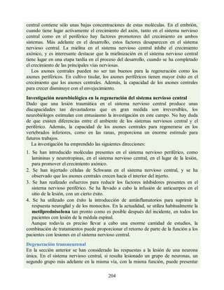 central contiene sólo unas bajas concentraciones de estas moléculas. En el embrión,
cuando tiene lugar activamente el crecimiento del axón, tanto en el sistema nervioso
central como en el periférico hay factores promotores del crecimiento en ambos
sistemas. Más adelante en el desarrollo, estos factores desaparecen en el sistema
nervioso central. La mielina en el sistema nervioso central inhibe el crecimiento
axónico, y es interesante destacar que la mielinización en el sistema nervioso central
tiene lugar en una etapa tardía en el proceso del desarrollo, cuando se ha completado
el crecimiento de las principales vías nerviosas.
Los axones centrales pueden no ser tan buenos para la regeneración como los
axones periféricos. En cultivo tisular, los axones periféricos tienen mayor éxito en el
crecimiento que los axones centrales. Además, la capacidad de los axones centrales
para crecer disminuye con el envejecimiento.
Investigación neurobiológica en la regeneración del sistema nervioso central
Dado que una lesión traumática en el sistema nervioso central produce unas
discapacidades tan devastadoras que en gran medida son irreversibles, los
neurobiólogos estimulan con entusiasmo la investigación en este campo. No hay duda
de que existen diferencias entre el ambiente de los sistemas nerviosos central y el
periférico. Además, la capacidad de los axones centrales para regenerarse en los
vertebrados inferiores, como en las ranas, proporciona un enorme estímulo para
futuros trabajos.
La investigación ha emprendido las siguientes direcciones:
1. Se han introducido moléculas presentes en el sistema nervioso periférico, como
lamininas y neurotropinas, en el sistema nervioso central, en el lugar de la lesión,
para promover el crecimiento axónico.
2. Se han injertado células de Schwann en el sistema nervioso central, y se ha
observado que los axones centrales crecen hacia el interior del injerto.
3. Se han realizado esfuerzos para reducir los factores inhibidores presentes en el
sistema nervioso periférico. Se ha llevado a cabo la infusión de anticuerpos en el
sitio de la lesión, con un cierto éxito.
4. Se ha utilizado con éxito la introducción de antiinflamatorios para suprimir la
respuesta neuroglial y de los monocitos. En la actualidad, se utiliza habitualmente la
metilprednisolona tan pronto como es posible después del incidente, en todos los
pacientes con lesión de la médula espinal.
Aunque todavía es preciso llevar a cabo una enorme cantidad de estudios, la
combinación de tratamientos puede proporcionar el retorno de parte de la función a los
pacientes con lesiones en el sistema nervioso central.
Degeneración transneuronal
En la sección anterior se han considerado las respuestas a la lesión de una neurona
única. En el sistema nervioso central, si resulta lesionado un grupo de neuronas, un
segundo grupo más adelante en la misma vía, con la misma función, puede presentar
204
ERRNVPHGLFRVRUJ
ERRNVPHGLFRVRUJ
 