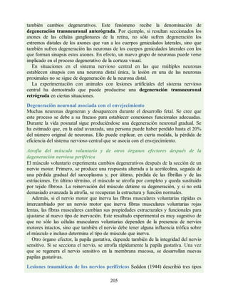 también cambios degenerativos. Este fenómeno recibe la denominación de
degeneración transneuronal anterógrada. Por ejemplo, si resultan seccionados los
axones de las células ganglionares de la retina, no sólo sufren degeneración los
extremos distales de los axones que van a los cuerpos geniculados laterales, sino que
también sufren degeneración las neuronas de los cuerpos geniculados laterales con los
que forman sinapsis estos axones. En efecto, un nuevo grupo de neuronas puede verse
implicado en el proceso degenerativo de la corteza visual.
En situaciones en el sistema nervioso central en las que múltiples neuronas
establecen sinapsis con una neurona distal única, la lesión en una de las neuronas
proximales no se sigue de degeneración de la neurona distal.
La experimentación con animales con lesiones artificiales del sistema nervioso
central ha demostrado que puede producirse una degeneración transneuronal
retrógrada en ciertas situaciones.
Degeneración neuronal asociada con el envejecimiento
Muchas neuronas degeneran y desaparecen durante el desarrollo fetal. Se cree que
este proceso se debe a su fracaso para establecer conexiones funcionales adecuadas.
Durante la vida posnatal sigue produciéndose una degeneración neuronal gradual. Se
ha estimado que, en la edad avanzada, una persona puede haber perdido hasta el 20%
del número original de neuronas. Ello puede explicar, en cierta medida, la pérdida de
eficiencia del sistema nervioso central que se asocia con el envejecimiento.
Atrofia del músculo voluntario y de otros órganos efectores después de la
degeneración nerviosa periférica
El músculo voluntario experimenta cambios degenerativos después de la sección de un
nervio motor. Primero, se produce una respuesta alterada a la acetilcolina, seguida de
una pérdida gradual del sarcoplasma y, por último, pérdida de las fibrillas y de las
estriaciones. En último término, el músculo se atrofia por completo y queda sustituido
por tejido fibroso. La reinervación del músculo detiene su degeneración, y si no está
demasiado avanzada la atrofia, se recuperan la estructura y función normales.
Además, si el nervio motor que inerva las fibras musculares voluntarias rápidas es
intercambiado por un nervio motor que inerva fibras musculares voluntarias rojas
lentas, las fibras musculares cambian sus propiedades estructurales y funcionales para
ajustarse al nuevo tipo de inervación. Este resultado experimental es muy sugestivo de
que no sólo las células musculares voluntarias dependen de la presencia de nervios
motores intactos, sino que también el nervio debe tener alguna influencia trófica sobre
el músculo e incluso determina el tipo de músculo que inerva.
Otro órgano efector, la papila gustativa, depende también de la integridad del nervio
sensitivo. Si se secciona el nervio, se atrofia rápidamente la papila gustativa. Una vez
que se regenera el nervio sensitivo en la membrana mucosa, se desarrollan nuevas
papilas gustativas.
Lesiones traumáticas de los nervios periféricos Seddon (1944) describió tres tipos
205
ERRNVPHGLFRVRUJ
ERRNVPHGLFRVRUJ
 