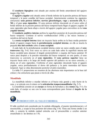 El conducto hipogloso está situado por encima del límite anterolateral del agujero
magno (fig. 5-6).
El agujero yugular está situado entre el borde inferior de la porción petrosa del hueso
temporal y la parte condilar del hueso occipital. Anteriormente contiene las siguientes
estructuras: seno petroso inferior, nervios glosofaríngeo, vago y accesorio (IX, X y
XI) y el gran seno sigmoideo. El seno petroso inferior desciende en el surco sobre el
borde inferior de la porción petrosa del hueso temporal hasta llegar al agujero yugular. El
seno sigmoideo gira hacia abajo a través del agujero yugular para convertirse en la vena
yugular interna.
El conducto auditivo interno perfora la superficie posterior de la porción petrosa del
hueso temporal. Contiene el nervio vestibulococlear (VIII) y las raíces motoras y
sensitivas del nervio facial.
La cresta occipital interna tiene un trayecto hacia arriba en la línea media posterior
desde el agujero magno hasta la protuberancia occipital interna; en ella se inserta la
pequeña hoz del cerebelo sobre el seno occipital.
A cada lado de la protuberancia occipital interna existe un surco amplio para el seno
transverso (fig. 5-6). Este surco se curva en cada lado sobre la superficie interna del
hueso occipital para alcanzar el ángulo posteroinferior o esquina del hueso parietal. El
surco pasa después a la porción mastoidea del hueso temporal; en este punto, el seno
transverso se convierte en el seno sigmoideo. El seno petroso superior tiene un
trayecto hacia atrás a lo largo del borde superior del peñasco en un surco estrecho, y
drena en el seno sigmoideo. Conforme el seno sigmoideo desciende hasta el agujero
yugular, surca profundamente el dorso del peñasco y la parte mastoidea del hueso
temporal. Aquí se sitúa directamente posterior al antro mastoideo.
La tabla 5-1 proporciona un resumen de las aberturas más importantes en la base del
cráneo y las estructuras que pasan a través de ellas.
Mandíbula
La mandíbula inferior o maxilar inferior es el hueso más grande y más fuerte de la
cara, y se articula con el cráneo en la articulación temporomandibular (fig. 5-3).
La mandíbula consiste en un cuerpo en forma de herradura y dos ramas (fig. 5-1). En
cada lado, el cuerpo se une con la rama correspondiente para formar el ángulo de la
mandíbula.
INTRODUCCIÓN AL TALLO CEREBRAL
El tallo cerebral está constituido por la médula oblongada, el puente (protuberancia) y el
mesencéfalo, y ocupa la fosa posterior del cráneo (fig. 5-8). Tiene una forma similar a un
tallo, y conecta la médula espinal estrecha con el prosencéfalo o cerebro anterior
ensanchado (v. las láminas en 1-8).
343
ERRNVPHGLFRVRUJ
ERRNVPHGLFRVRUJ
 