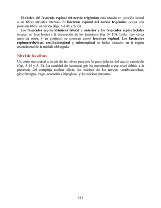 El núcleo del fascículo espinal del nervio trigémino está situado en posición lateral
a las fibras arcuatas internas. El fascículo espinal del nervio trigémino ocupa una
posición lateral al núcleo (figs. 5-11B y 5-13).
Los fascículos espinotalámicos lateral y anterior y los fascículos espinotectales
ocupan un área lateral a la decusación de los lemniscos (fig. 5-11B). Están muy cerca
unos de otros, y en conjunto se conocen como lemnisco espinal. Los fascículos
espinocerebeloso, vestibuloespinal y rubroespinal se hallan situados en la región
anterolateral de la médula oblongada.
Nivel de las olivas
Un corte transversal a través de las olivas pasa por la parte inferior del cuarto ventrículo
(figs. 5-14 y 5-15). La cantidad de sustancia gris ha aumentado a ese nivel debido a la
presencia del complejo nuclear olivar, los núcleos de los nervios vestibulococlear,
glosofaríngeo, vago, accesorio e hipogloso, y los núcleos arcuatos.
351
ERRNVPHGLFRVRUJ
ERRNVPHGLFRVRUJ
 