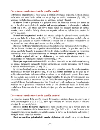 Corte transversal a través de la porción caudal
El lemnisco medial rota al pasar desde la médula oblongada al puente. Se halla situado
en la parte más anterior del techo, con su eje largo en sentido transversal (fig. 5-19). El
lemnisco medial está acompañado por los lemniscos espinal y lateral.
El núcleo facial es posterior a la porción lateral del lemnisco medial. Las fibras del
nervio facial giran alrededor del núcleo del nervio abducens, produciendo el colículo
facial (fig. 5-19). Las fibras del nervio facial tienen un trayecto después en sentido
anterior, entre el núcleo facial y el extremo superior del núcleo del fascículo espinal del
nervio trigémino.
El fascículo longitudinal medial está situado debajo del piso del cuarto ventrículo a
uno y otro lado de la línea media (fig. 5-19). El fascículo longitudinal medial es la vía
principal que conecta los núcleos vestibular y coclear con los núcleos controladores de
los músculos extraoculares (oculomotor, troclear y abducens).
El núcleo vestibular medial está situado lateral al núcleo del nervio abducens (fig. 5-
19), en íntima relación con el pedúnculo cerebeloso inferior. La porción superior del
núcleo vestibular lateral y la porción inferior del núcleo vestibular superior se encuentran
a este nivel. Aquí se encuentran también los núcleos cocleares posterior y anterior.
El núcleo espinal del nervio trigémino y su tracto están situados en la cara
anteromedial del pedúnculo cerebeloso inferior (fig. 5-19).
El cuerpo trapezoide está constituido por fibras derivadas de los núcleos cocleares y
los núcleos del cuerpo trapezoide. Tienen un trayecto en sentido transversal (fig. 5-19) en
la porción anterior del techo (v. pág. 207).
La porción basal del puente contiene a este nivel pequeñas masas de células nerviosas
denominadas núcleos del puente (fig. 5-19). Las fibras pontinas de los pies de los
pedúnculos cerebrales del mesencéfalo terminan en los núcleos del puente. Los axones
de esas células dan origen a las fibras transversales del puente (protuberancia), que
cruzan la línea media e intersectan con los fascículos corticoespinales y corticonucleares,
rompiéndolos en fascículos pequeños. Las fibras transversales del puente (protuberancia)
penetran en el pedúnculo cerebeloso medio y son distribuidas hacia los hemisferios
cerebelosos. Esta conexión forma la vía principal que relaciona la corteza cerebral con el
cerebelo.
Corte transversal a través de la porción craneal
La estructura interna de la porción craneal del puente es similar a la que se observa en el
nivel caudal (figuras 5-20 a 5-22), pero aquí contiene los núcleos motor y sensitivo
principal del nervio trigémino.
El núcleo motor del nervio trigémino se halla situado debajo de la porción lateral del
cuarto ventrículo dentro de la formación reticular (figs. 5-20 y 5-21). Las fibras motoras
emergentes tienen un trayecto en sentido anterior a través de la sustancia del puente y
emergen por su superficie anterior.
El núcleo sensitivo principal del nervio trigémino está situado en la porción lateral
361
ERRNVPHGLFRVRUJ
ERRNVPHGLFRVRUJ
 