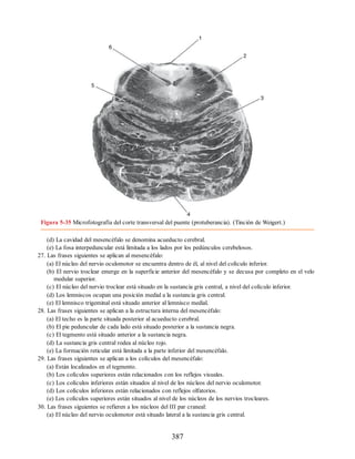 Figura 5-35 Microfotografía del corte transversal del puente (protuberancia). (Tinción de Weigert.)
(d) La cavidad del mesencéfalo se denomina acueducto cerebral.
(e) La fosa interpeduncular está limitada a los lados por los pedúnculos cerebelosos.
27. Las frases siguientes se aplican al mesencéfalo:
(a) El núcleo del nervio oculomotor se encuentra dentro de él, al nivel del colículo inferior.
(b) El nervio troclear emerge en la superficie anterior del mesencéfalo y se decusa por completo en el velo
medular superior.
(c) El núcleo del nervio troclear está situado en la sustancia gris central, a nivel del colículo inferior.
(d) Los lemniscos ocupan una posición medial a la sustancia gris central.
(e) El lemnisco trigeminal está situado anterior al lemnisco medial.
28. Las frases siguientes se aplican a la estructura interna del mesencéfalo:
(a) El techo es la parte situada posterior al acueducto cerebral.
(b) El pie peduncular de cada lado está situado posterior a la sustancia negra.
(c) El tegmento está situado anterior a la sustancia negra.
(d) La sustancia gris central rodea al núcleo rojo.
(e) La formación reticular está limitada a la parte inferior del mesencéfalo.
29. Las frases siguientes se aplican a los colículos del mesencéfalo:
(a) Están localizados en el tegmento.
(b) Los colículos superiores están relacionados con los reflejos visuales.
(c) Los colículos inferiores están situados al nivel de los núcleos del nervio oculomotor.
(d) Los colículos inferiores están relacionados con reflejos olfatorios.
(e) Los colículos superiores están situados al nivel de los núcleos de los nervios trocleares.
30. Las frases siguientes se refieren a los núcleos del III par craneal:
(a) El núcleo del nervio oculomotor está situado lateral a la sustancia gris central.
387
ERRNVPHGLFRVRUJ
ERRNVPHGLFRVRUJ
 