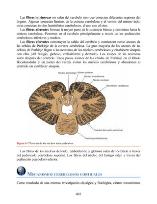 Las fibras intrínsecas no salen del cerebelo sino que conectan diferentes regiones del
órgano. Algunas conectan láminas de la corteza cerebelosa y el vermis del mismo lado;
otras conectan los dos hemisferios cerebelosos, el uno con el otro.
Las fibras aferentes forman la mayor parte de la sustancia blanca y continúan hasta la
corteza cerebelosa. Penetran en el cerebelo principalmente a través de los pedúnculos
cerebelosos inferiores y medios.
Las fibras eferentes constituyen la salida del cerebelo y comienzan como axones de
las células de Purkinje de la corteza cerebelosa. La gran mayoría de los axones de las
células de Purkinje llegan a las neuronas de los núcleos cerebelosos y establecen sinapsis
con ellas (del fastigio, globoso, emboliforme y dentado). Los axones de las neuronas
salen después del cerebelo. Unos pocos axones de las células de Purkinje en el lóbulo
floculonodular y en partes del vermis evitan los núcleos cerebelosos y abandonan el
cerebelo sin establecer sinapsis.
Figura 6-7 Posición de los núcleos intracerebelosos.
Las fibras de los núcleos dentado, emboliforme y globoso salen del cerebelo a través
del pedúnculo cerebeloso superior. Las fibras del núcleo del fastigio salen a través del
pedúnculo cerebeloso inferior.
MECANISMOS CEREBELOSOS CORTICALES
Como resultado de una extensa investigación citológica y fisiológica, ciertos mecanismos
402
ERRNVPHGLFRVRUJ
ERRNVPHGLFRVRUJ
 