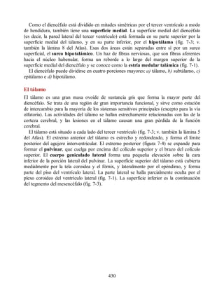 Como el diencéfalo está dividido en mitades simétricas por el tercer ventrículo a modo
de hendidura, también tiene una superficie medial. La superficie medial del diencéfalo
(es decir, la pared lateral del tercer ventrículo) está formada en su parte superior por la
superficie medial del tálamo, y en su parte inferior, por el hipotálamo (fig. 7-3; v.
también la lámina 8 del Atlas). Esas dos áreas están separadas entre sí por un surco
superficial, el surco hipotalámico. Un haz de fibras nerviosas, que son fibras aferentes
hacia el núcleo habenular, forma un reborde a lo largo del margen superior de la
superficie medial del diencéfalo y se conoce como la estría medular talámica (fig. 7-1).
El diencéfalo puede dividirse en cuatro porciones mayores: a) tálamo, b) subtálamo, c)
epitálamo e d) hipotálamo.
El tálamo
El tálamo es una gran masa ovoide de sustancia gris que forma la mayor parte del
diencéfalo. Se trata de una región de gran importancia funcional, y sirve como estación
de intercambio para la mayoría de los sistemas sensitivos principales (excepto para la vía
olfatoria). Las actividades del tálamo se hallan estrechamente relacionadas con las de la
corteza cerebral, y las lesiones en el tálamo causan una gran pérdida de la función
cerebral.
El tálamo está situado a cada lado del tercer ventrículo (fig. 7-3; v. también la lámina 5
del Atlas). El extremo anterior del tálamo es estrecho y redondeado, y forma el límite
posterior del agujero interventricular. El extremo posterior (figura 7-4) se expande para
formar el pulvinar, que cuelga por encima del colículo superior y el brazo del colículo
superior. El cuerpo geniculado lateral forma una pequeña elevación sobre la cara
inferior de la porción lateral del pulvinar. La superficie superior del tálamo está cubierta
medialmente por la tela coroidea y el fórnix, y lateralmente por el epéndimo, y forma
parte del piso del ventrículo lateral. La parte lateral se halla parcialmente oculta por el
plexo coroideo del ventrículo lateral (fig. 7-1). La superficie inferior es la continuación
del tegmento del mesencéfalo (fig. 7-3).
430
ERRNVPHGLFRVRUJ
ERRNVPHGLFRVRUJ
 