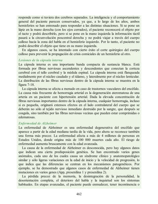 responde como si tuviera dos cerebros separados. La inteligencia y el comportamiento
general del paciente parecen conservados, ya que, a lo largo de los años, ambos
hemisferios se han entrenado para responder a las distintas situaciones. Si se pone un
lápiz en la mano derecha (con los ojos cerrados), el paciente reconocerá el objeto por
el tacto y podrá describirlo, pero si se pone en la mano izquierda la información táctil
pasará a la circunvolución poscentral derecha y no podrá viajar a través del cuerpo
calloso hacia la zona del habla en el hemisferio izquierdo. Por lo tanto, el paciente no
podrá describir el objeto que tiene en su mano izquierda.
En algunos casos, se ha intentado con cierto éxito el corte quirúrgico del cuerpo
calloso para prevenir la propagación de crisis comiciales de un hemisferio al otro.
Lesiones de la cápsula interna
La cápsula interna es una importante banda compacta de sustancia blanca. Está
formada por fibras nerviosas ascendentes y descendentes que conectan la corteza
cerebral con el tallo cerebral y la médula espinal. La cápsula interna está flanqueada
medialmente por el núcleo caudado y el tálamo, y lateralmente por el núcleo lenticular.
La distribución de las fibras nerviosas dentro de la cápsula interna se muestra en la
figura 7-18.
La cápsula interna se afecta a menudo en caso de trastornos vasculares del encéfalo.
La causa más frecuente de hemorragia arterial es la degeneración ateromatosa de una
arteria en un paciente con hipertensión arterial. Dada la elevada concentración de
fibras nerviosas importantes dentro de la cápsula interna, cualquier hemorragia, incluso
si es pequeña, originará extensos efectos en el lado contralateral del cuerpo que se
deberán no sólo al tejido nervioso inmediato destruido por la sangre, que después se
coagula, sino también por las fibras nerviosas vecinas que pueden estar comprimidas o
edematosas.
Enfermedad de Alzheimer
La enfermedad de Alzheimer es una enfermedad degenerativa del encéfalo que
aparece a partir de la edad mediana tardía de la vida, pero ahora se reconoce también
una forma más precoz. La enfermedad afecta a más de 4 millones de personas en
Estados Unidos, donde origina más de 100 000 muertes cada año. El riesgo de
enfermedad aumenta bruscamente con la edad avanzada.
La causa de la enfermedad de Alzheimer es desconocida, pero hay algunos datos
que indican una cierta predisposición genética. Se han encontrado varios genes
anómalos, cada uno de los cuales causa un síndrome clínico y anatomopatológico
similar y sólo ligeras variaciones en la edad de inicio y la velocidad de progresión, lo
que indica que las diferencias se centran en los mecanismos patogenéticos. Por
ejemplo, se ha demostrado que algunos casos de enfermedad de Alzheimer tienen
mutaciones en varios genes (App, presenilina 1 y presenilina 2).
La pérdida precoz de la memoria, la desintegración de la personalidad, la
desorientación completa, el deterioro del habla y la inquietud son los síntomas
habituales. En etapas avanzadas, el paciente puede enmudecer, tener incontinencia o
462
ERRNVPHGLFRVRUJ
ERRNVPHGLFRVRUJ
 