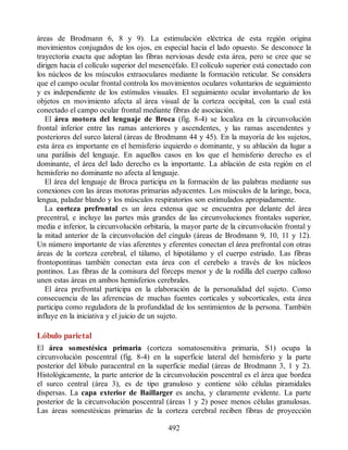 áreas de Brodmann 6, 8 y 9). La estimulación eléctrica de esta región origina
movimientos conjugados de los ojos, en especial hacia el lado opuesto. Se desconoce la
trayectoria exacta que adoptan las fibras nerviosas desde esta área, pero se cree que se
dirigen hacia el colículo superior del mesencéfalo. El colículo superior está conectado con
los núcleos de los músculos extraoculares mediante la formación reticular. Se considera
que el campo ocular frontal controla los movimientos oculares voluntarios de seguimiento
y es independiente de los estímulos visuales. El seguimiento ocular involuntario de los
objetos en movimiento afecta al área visual de la corteza occipital, con la cual está
conectado el campo ocular frontal mediante fibras de asociación.
El área motora del lenguaje de Broca (fig. 8-4) se localiza en la circunvolución
frontal inferior entre las ramas anteriores y ascendentes, y las ramas ascendentes y
posteriores del surco lateral (áreas de Brodmann 44 y 45). En la mayoría de los sujetos,
esta área es importante en el hemisferio izquierdo o dominante, y su ablación da lugar a
una parálisis del lenguaje. En aquellos casos en los que el hemisferio derecho es el
dominante, el área del lado derecho es la importante. La ablación de esta región en el
hemisferio no dominante no afecta al lenguaje.
El área del lenguaje de Broca participa en la formación de las palabras mediante sus
conexiones con las áreas motoras primarias adyacentes. Los músculos de la laringe, boca,
lengua, paladar blando y los músculos respiratorios son estimulados apropiadamente.
La corteza prefrontal es un área extensa que se encuentra por delante del área
precentral, e incluye las partes más grandes de las circunvoluciones frontales superior,
media e inferior, la circunvolución orbitaria, la mayor parte de la circunvolución frontal y
la mitad anterior de la circunvolución del cíngulo (áreas de Brodmann 9, 10, 11 y 12).
Un número importante de vías aferentes y eferentes conectan el área prefrontal con otras
áreas de la corteza cerebral, el tálamo, el hipotálamo y el cuerpo estriado. Las fibras
frontopontinas también conectan esta área con el cerebelo a través de los núcleos
pontinos. Las fibras de la comisura del fórceps menor y de la rodilla del cuerpo calloso
unen estas áreas en ambos hemisferios cerebrales.
El área prefrontal participa en la elaboración de la personalidad del sujeto. Como
consecuencia de las aferencias de muchas fuentes corticales y subcorticales, esta área
participa como reguladora de la profundidad de los sentimientos de la persona. También
influye en la iniciativa y el juicio de un sujeto.
Lóbulo parietal
El área somestésica primaria (corteza somatosensitiva primaria, S1) ocupa la
circunvolución poscentral (fig. 8-4) en la superficie lateral del hemisferio y la parte
posterior del lóbulo paracentral en la superficie medial (áreas de Brodmann 3, 1 y 2).
Histológicamente, la parte anterior de la circunvolución poscentral es el área que bordea
el surco central (área 3), es de tipo granuloso y contiene sólo células piramidales
dispersas. La capa exterior de Baillarger es ancha, y claramente evidente. La parte
posterior de la circunvolución poscentral (áreas 1 y 2) posee menos células granulosas.
Las áreas somestésicas primarias de la corteza cerebral reciben fibras de proyección
492
ERRNVPHGLFRVRUJ
ERRNVPHGLFRVRUJ
 