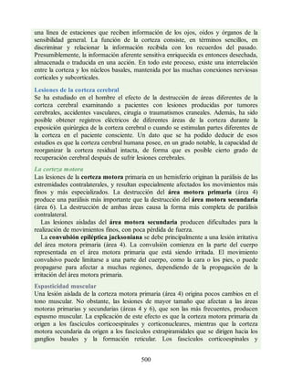 una línea de estaciones que reciben información de los ojos, oídos y órganos de la
sensibilidad general. La función de la corteza consiste, en términos sencillos, en
discriminar y relacionar la información recibida con los recuerdos del pasado.
Presumiblemente, la información aferente sensitiva enriquecida es entonces desechada,
almacenada o traducida en una acción. En todo este proceso, existe una interrelación
entre la corteza y los núcleos basales, mantenida por las muchas conexiones nerviosas
corticales y subcorticales.
Lesiones de la corteza cerebral
Se ha estudiado en el hombre el efecto de la destrucción de áreas diferentes de la
corteza cerebral examinando a pacientes con lesiones producidas por tumores
cerebrales, accidentes vasculares, cirugía o traumatismos craneales. Además, ha sido
posible obtener registros eléctricos de diferentes áreas de la corteza durante la
exposición quirúrgica de la corteza cerebral o cuando se estimulan partes diferentes de
la corteza en el paciente consciente. Un dato que se ha podido deducir de esos
estudios es que la corteza cerebral humana posee, en un grado notable, la capacidad de
reorganizar la corteza residual intacta, de forma que es posible cierto grado de
recuperación cerebral después de sufrir lesiones cerebrales.
La corteza motora
Las lesiones de la corteza motora primaria en un hemisferio originan la parálisis de las
extremidades contralaterales, y resultan especialmente afectados los movimientos más
finos y más especializados. La destrucción del área motora primaria (área 4)
produce una parálisis más importante que la destrucción del área motora secundaria
(área 6). La destrucción de ambas áreas causa la forma más completa de parálisis
contralateral.
Las lesiones aisladas del área motora secundaria producen dificultades para la
realización de movimientos finos, con poca pérdida de fuerza.
La convulsión epiléptica jacksoniana se debe principalmente a una lesión irritativa
del área motora primaria (área 4). La convulsión comienza en la parte del cuerpo
representada en el área motora primaria que está siendo irritada. El movimiento
convulsivo puede limitarse a una parte del cuerpo, como la cara o los pies, o puede
propagarse para afectar a muchas regiones, dependiendo de la propagación de la
irritación del área motora primaria.
Espasticidad muscular
Una lesión aislada de la corteza motora primaria (área 4) origina pocos cambios en el
tono muscular. No obstante, las lesiones de mayor tamaño que afectan a las áreas
motoras primarias y secundarias (áreas 4 y 6), que son las más frecuentes, producen
espasmo muscular. La explicación de este efecto es que la corteza motora primaria da
origen a los fascículos corticoespinales y corticonucleares, mientras que la corteza
motora secundaria da origen a los fascículos extrapiramidales que se dirigen hacia los
ganglios basales y la formación reticular. Los fascículos corticoespinales y
500
ERRNVPHGLFRVRUJ
ERRNVPHGLFRVRUJ
 