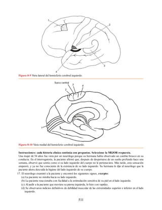 Figura 8-9 Vista lateral del hemisferio cerebral izquierdo.
Figura 8-10 Vista medial del hemisferio cerebral izquierdo.
Instrucciones: cada historia clínica continúa con preguntas. Seleccione la MEJOR respuesta.
Una mujer de 54 años fue vista por un neurólogo porque su hermana había observado un cambio brusco en su
conducta. En el interrogatorio, la paciente afirmó que, después de despertarse de un sueño profundo hace una
semana, observó que sentía como si su lado izquierdo del cuerpo no le perteneciera. Más tarde, esta sensación
empeoró, y ya no fue consciente de la existencia de su lado izquierdo. Su hermana le dijo al neurólogo que la
paciente ahora descuida la higiene del lado izquierdo de su cuerpo.
17. El neurólogo examinó a la paciente y encontró los siguientes signos, excepto:
(a) La paciente no miraba hacia su lado izquierdo.
(b) La paciente reaccionaba con facilidad a la estimulación sensitiva de su piel en el lado izquierdo.
(c) Al pedir a la paciente que moviera su pierna izquierda, lo hizo con rapidez.
(d) Se observaron indicios definitivos de debilidad muscular de las extremidades superior e inferior en el lado
izquierdo.
511
ERRNVPHGLFRVRUJ
ERRNVPHGLFRVRUJ
 