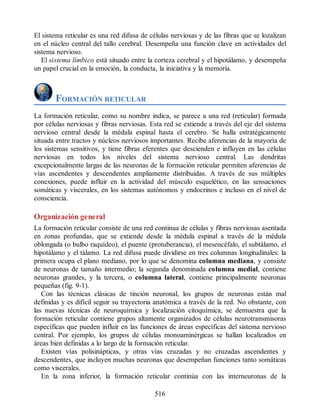 El sistema reticular es una red difusa de células nerviosas y de las fibras que se lozalizan
en el núcleo central del tallo cerebral. Desempeña una función clave en actividades del
sistema nervioso.
El sistema límbico está situado entre la corteza cerebral y el hipotálamo, y desempeña
un papel crucial en la emoción, la conducta, la iniciativa y la memoria.
FORMACIÓN RETICULAR
La formación reticular, como su nombre indica, se parece a una red (reticular) formada
por células nerviosas y fibras nerviosas. Esta red se extiende a través del eje del sistema
nervioso central desde la médula espinal hasta el cerebro. Se halla estratégicamente
situada entre tractos y núcleos nerviosos importantes. Recibe aferencias de la mayoría de
los sistemas sensitivos, y tiene fibras eferentes que descienden e influyen en las células
nerviosas en todos los niveles del sistema nervioso central. Las dendritas
excepcionalmente largas de las neuronas de la formación reticular permiten aferencias de
vías ascendentes y descendentes ampliamente distribuidas. A través de sus múltiples
conexiones, puede influir en la actividad del músculo esquelético, en las sensaciones
somáticas y viscerales, en los sistemas autónomos y endocrinos e incluso en el nivel de
consciencia.
Organización general
La formación reticular consiste de una red continua de células y fibras nerviosas asentada
en zonas profundas, que se extiende desde la médula espinal a través de la médula
oblongada (o bulbo raquídeo), el puente (protuberancia), el mesencéfalo, el subtálamo, el
hipotálamo y el tálamo. La red difusa puede dividirse en tres columnas longitudinales: la
primera ocupa el plano mediano, por lo que se denomina columna mediana, y consiste
de neuronas de tamaño intermedio; la segunda denominada columna medial, contiene
neuronas grandes, y la tercera, o columna lateral, contiene principalmente neuronas
pequeñas (fig. 9-1).
Con las técnicas clásicas de tinción neuronal, los grupos de neuronas están mal
definidas y es difícil seguir su trayectoria anatómica a través de la red. No obstante, con
las nuevas técnicas de neuroquímica y localización citoquímica, se demuestra que la
formación reticular contiene grupos altamente organizados de células neurotransmisoras
específicas que pueden influir en las funciones de áreas específicas del sistema nervioso
central. Por ejemplo, los grupos de células monoaminérgicas se hallan localizados en
áreas bien definidas a lo largo de la formación reticular.
Existen vías polisinápticas, y otras vías cruzadas y no cruzadas ascendentes y
descendentes, que incluyen muchas neuronas que desempeñan funciones tanto somáticas
como viscerales.
En la zona inferior, la formación reticular continúa con las interneuronas de la
516
ERRNVPHGLFRVRUJ
ERRNVPHGLFRVRUJ
 