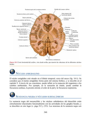 Neuroanatomia_Clinica_Snell_7a_Edicion_b.pdf