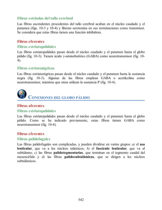 Neuroanatomia_Clinica_Snell_7a_Edicion_b.pdf