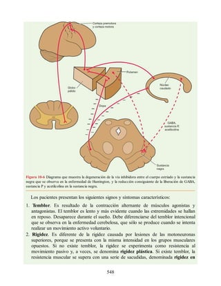 Neuroanatomia_Clinica_Snell_7a_Edicion_b.pdf