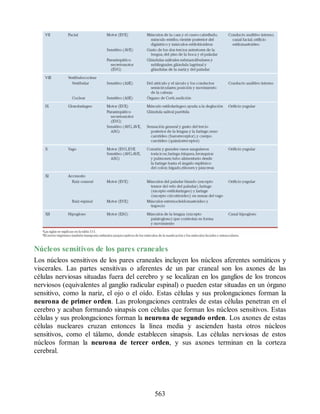 Neuroanatomia_Clinica_Snell_7a_Edicion_b.pdf