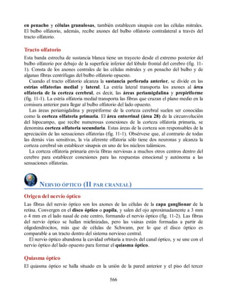 Neuroanatomia_Clinica_Snell_7a_Edicion_b.pdf