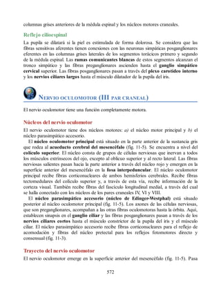 Neuroanatomia_Clinica_Snell_7a_Edicion_b.pdf