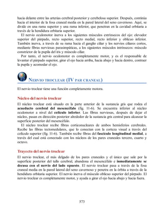 Neuroanatomia_Clinica_Snell_7a_Edicion_b.pdf