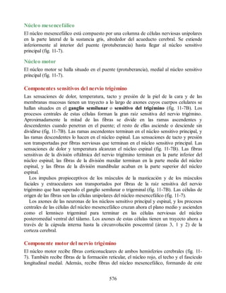 Neuroanatomia_Clinica_Snell_7a_Edicion_b.pdf