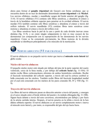 Neuroanatomia_Clinica_Snell_7a_Edicion_b.pdf