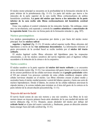Neuroanatomia_Clinica_Snell_7a_Edicion_b.pdf