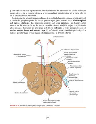 Neuroanatomia_Clinica_Snell_7a_Edicion_b.pdf