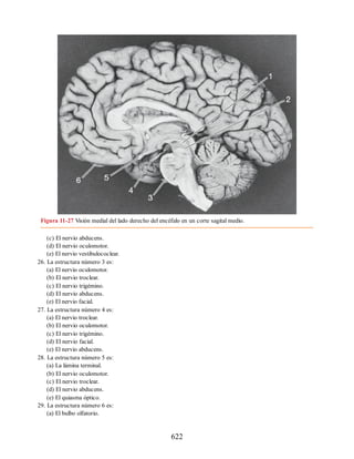 Neuroanatomia_Clinica_Snell_7a_Edicion_b.pdf