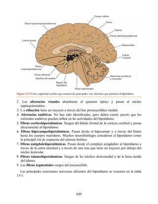 Neuroanatomia_Clinica_Snell_7a_Edicion_b.pdf