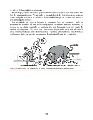 Neuroanatomia_Clinica_Snell_7a_Edicion_b.pdf