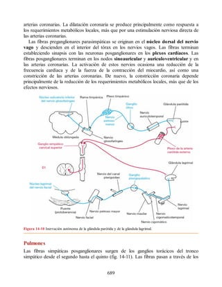 Neuroanatomia_Clinica_Snell_7a_Edicion_b.pdf