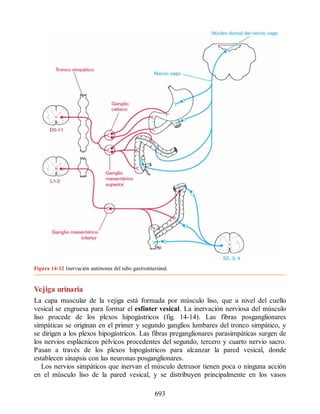 Neuroanatomia_Clinica_Snell_7a_Edicion_b.pdf