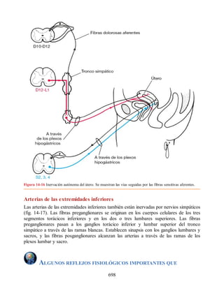 Neuroanatomia_Clinica_Snell_7a_Edicion_b.pdf