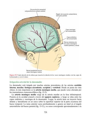 Neuroanatomia_Clinica_Snell_7a_Edicion_b.pdf