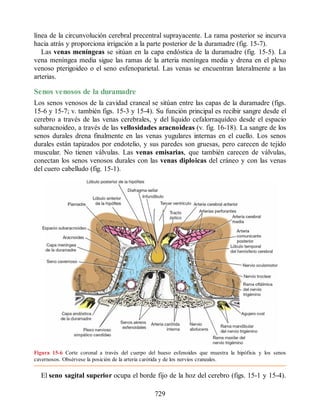 Neuroanatomia_Clinica_Snell_7a_Edicion_b.pdf