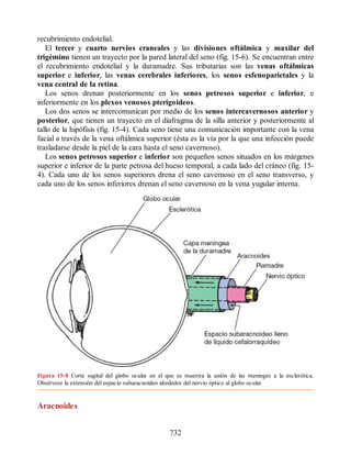 Neuroanatomia_Clinica_Snell_7a_Edicion_b.pdf