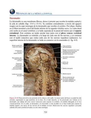 Neuroanatomia_Clinica_Snell_7a_Edicion_b.pdf