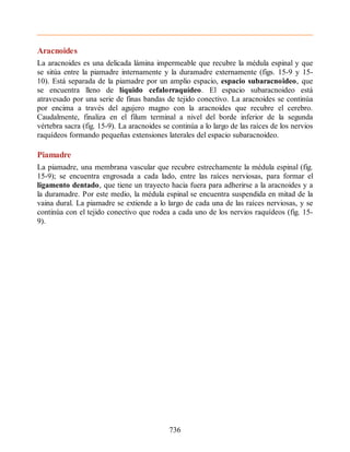 Neuroanatomia_Clinica_Snell_7a_Edicion_b.pdf