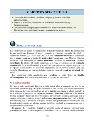 Neuroanatomia_Clinica_Snell_7a_Edicion_b.pdf