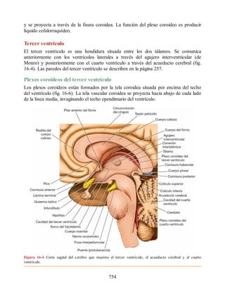 Neuroanatomia_Clinica_Snell_7a_Edicion_b.pdf