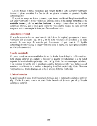 Neuroanatomia_Clinica_Snell_7a_Edicion_b.pdf