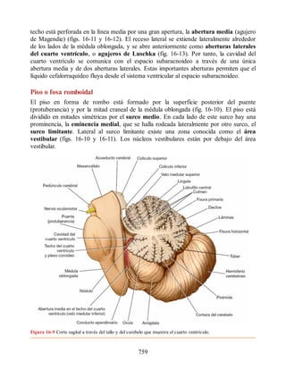 Neuroanatomia_Clinica_Snell_7a_Edicion_b.pdf