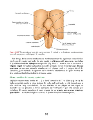 Neuroanatomia_Clinica_Snell_7a_Edicion_b.pdf