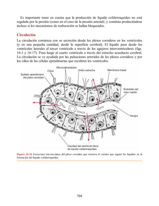 Neuroanatomia_Clinica_Snell_7a_Edicion_b.pdf