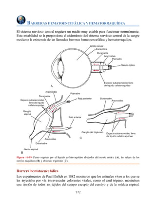 Neuroanatomia_Clinica_Snell_7a_Edicion_b.pdf